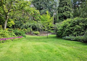 Optimiser l'expérience du jardin à Saint-Cyr-en-Val