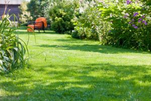 travaux jardin et paysage Saint-Cyr-en-Val